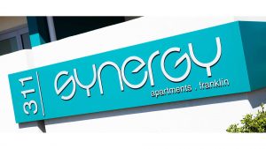 synergy 1